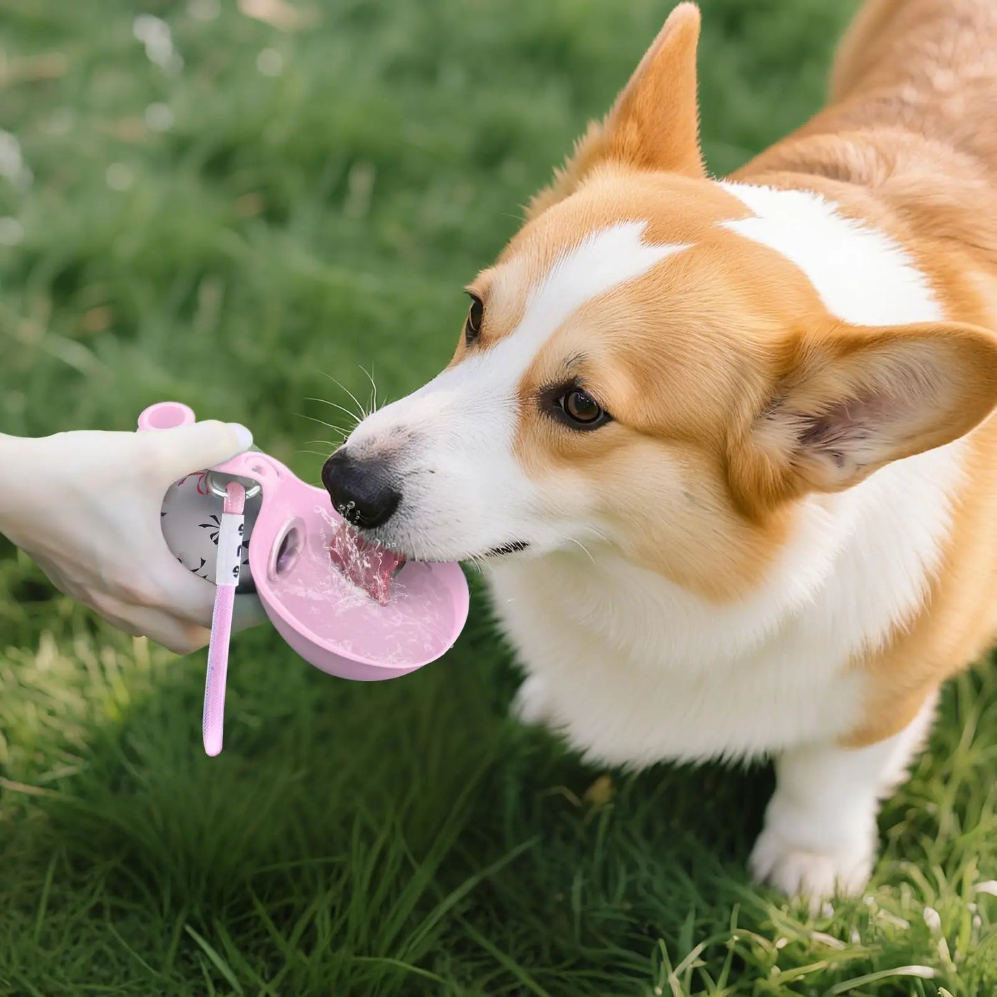 Hydrodog - Millionen Vierbeiner dursten. Deines nicht, dank der smarten Trinkflasche.