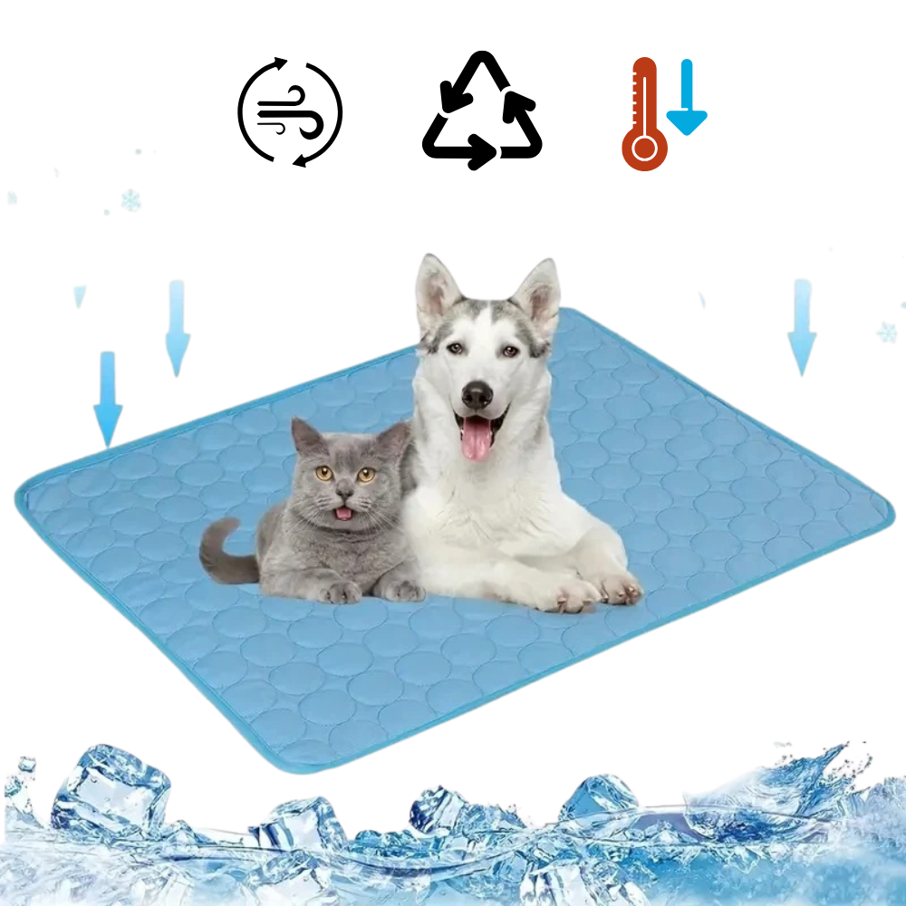 Petmatt -  Hitzefrei für deinen Liebling!