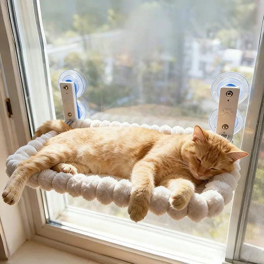 Katzenblick – bequemer Ruheplatz mit Aussicht
