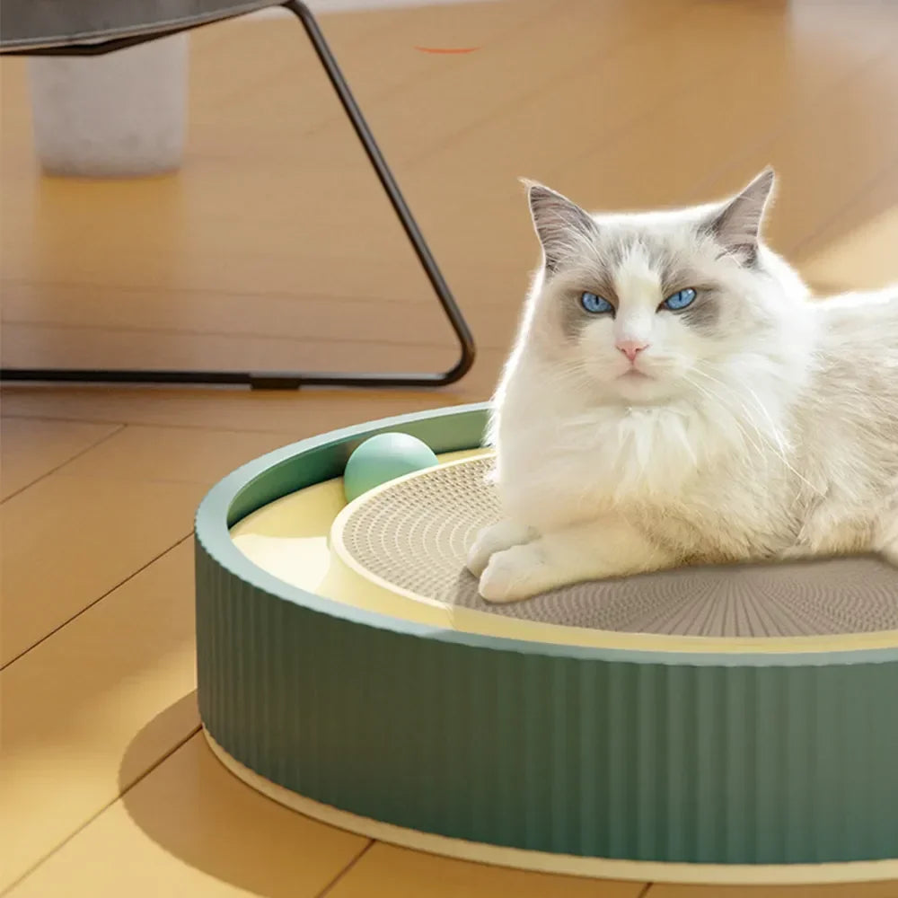 Skitty - Kann sie nicht richtig kratzen, wird dein teures Sofa zum Ersatz.